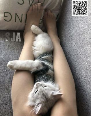 反黑路人甲粤语在线观看_免费正片国语